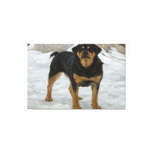 Impression sur toile de Rottweiler