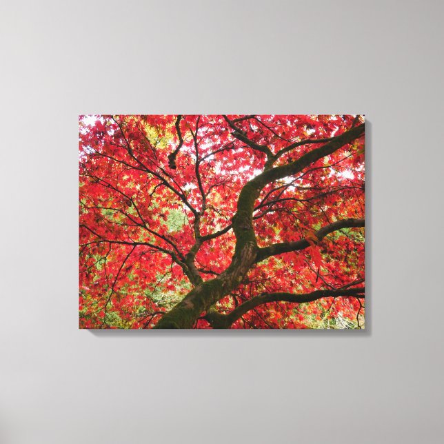 Impression sur toile d'érable japonais (Recto)