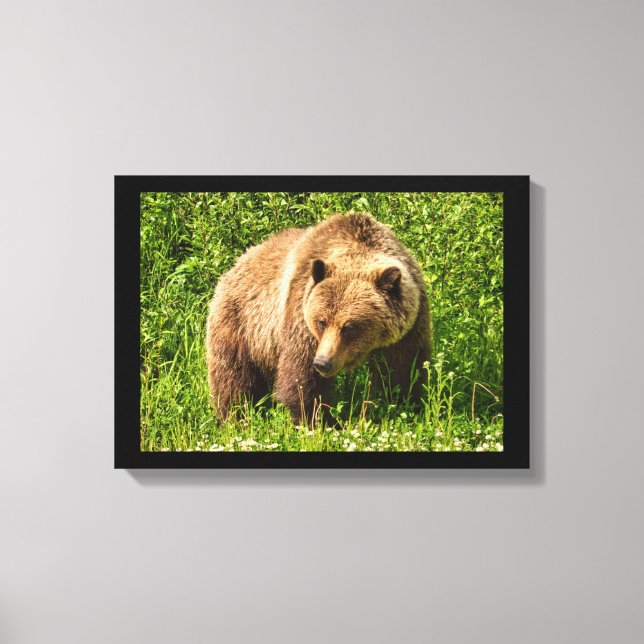 Impression sur toile d'ours grizzly lourd (Recto)