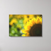 Impression sur toile Elégance Tournesol