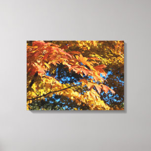 Impression sur toile Feuilles d'automne dorées