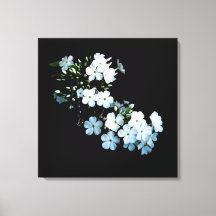 Impression sur toile 'Jasmine Detail'