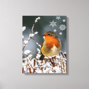 Impression sur toile Robin Songbird avec flocons d
