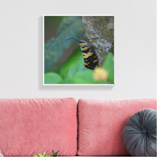 Impression sur toile tendue d'art naturel macro do