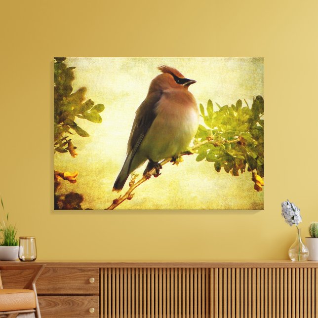 Impression sur toile tendue de jaseur de cèdre à t (Insitu(Salon))