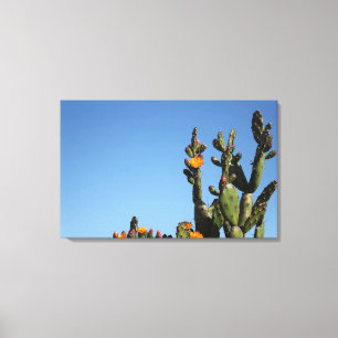 Impression sur toile tendue de plante de cactus en
