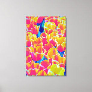 Impression sur toile tendue tulipes