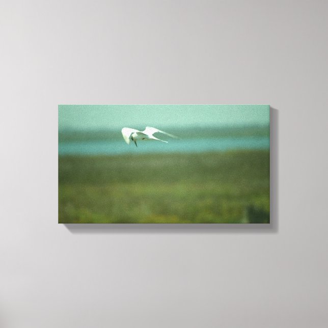 Impression sur toile - Trén en vol (v.2) (Recto)