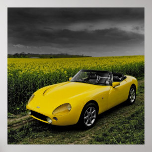 Impression TVR Griffith