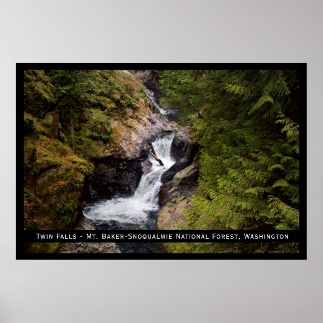 Impression Twin Falls (Devant)