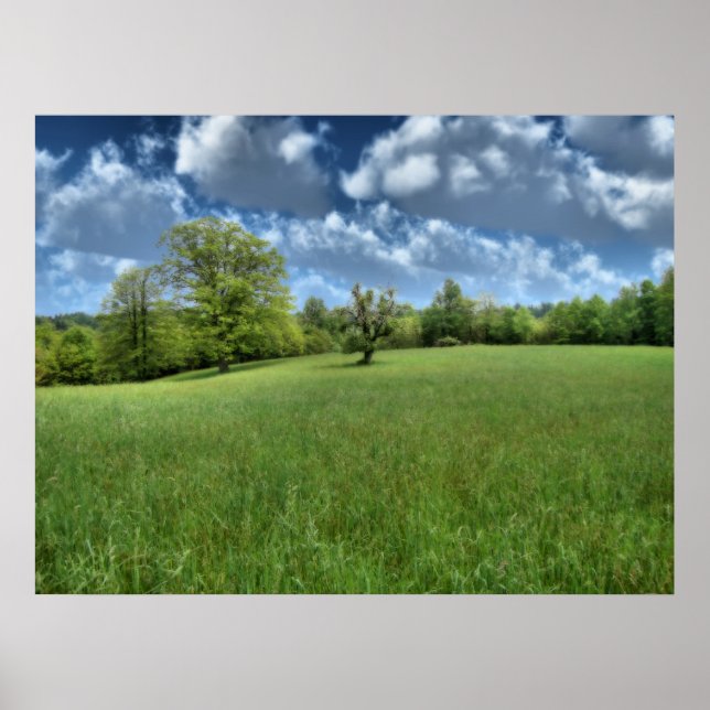 Impression verte des Appalaches (Devant)