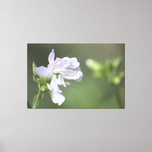 Impression verte d'olive (Recto)