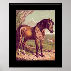 Impression vintage cheval 1800