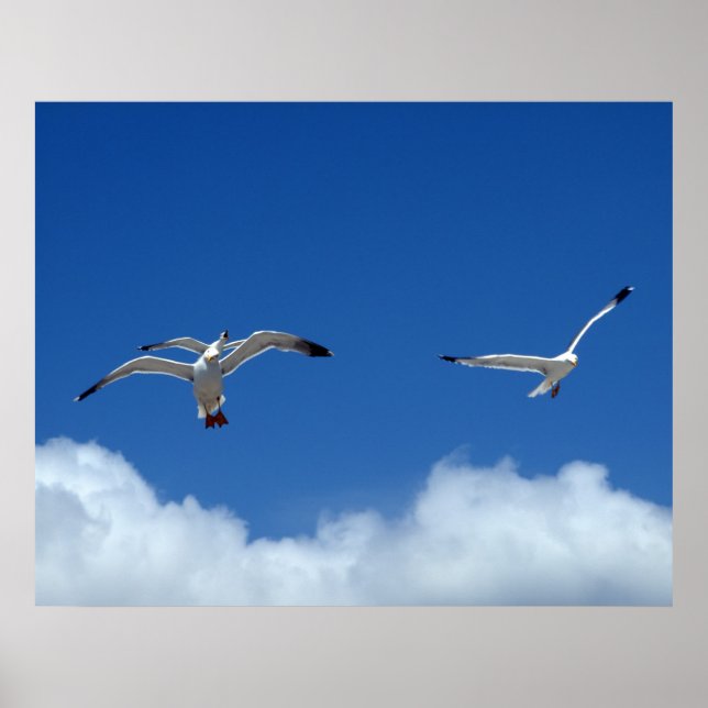 Impression Wind Masters (Devant)