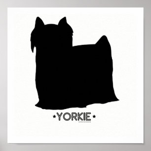 Impression Yorkie