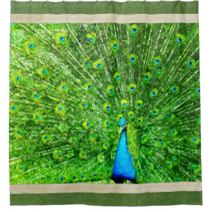 Impressionism Green and Blue Peacock