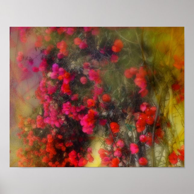 Impressionism Red Bougainvillea Poster (Front)
