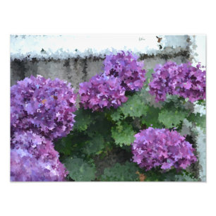 Impressionistic Hydrangea Photo Print
