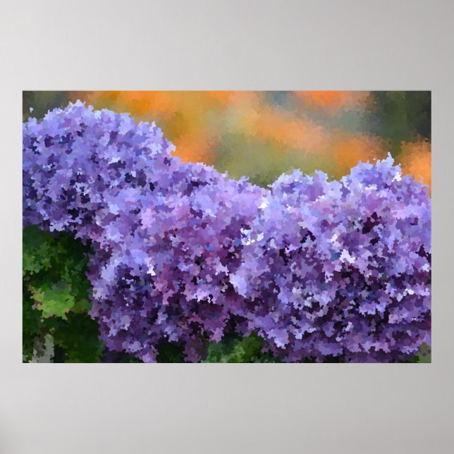 Impressionistic Hydrangea Poster (Front)