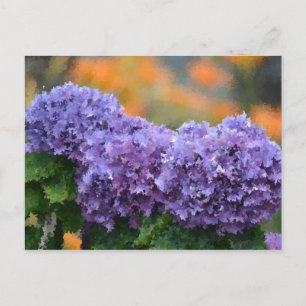 Impressionistic Hydrangeas Postcard
