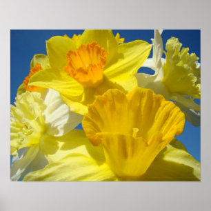 Impressions botaniques Art encadré Cadeaux Jonquil