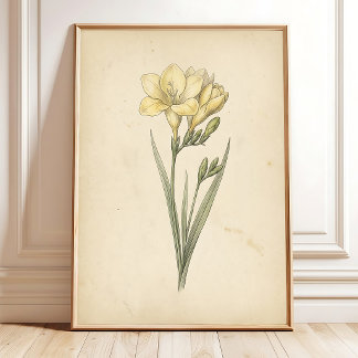 Impressions d'art botanique sur toile de Freesia