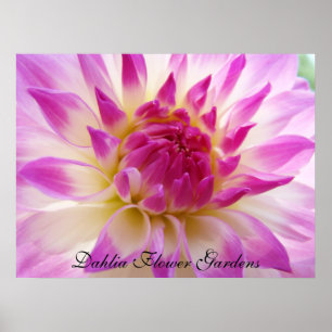 Impressions d'art de jardin de fleurs de dahlia Da