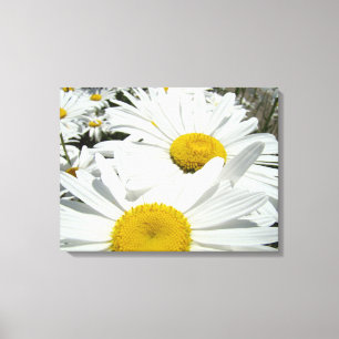 Impressions d'art de jardin de fleurs de marguerit