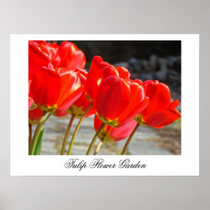 Impressions d'art de jardin de fleurs de tulipes d