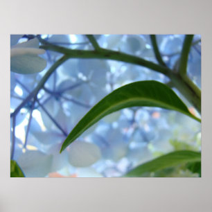 Impressions d'art floral de fleurs d'hortensia ble