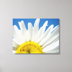 Impressions de marguerites fleurs florales sur toi