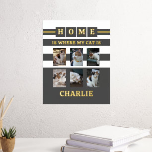 Impressions Dorure 6 photos nom chats amoureux des animaux gris blanc