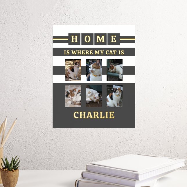 Impressions Dorure 6 photos nom chats amoureux des animaux gris blanc (In situ (Bureau 3))