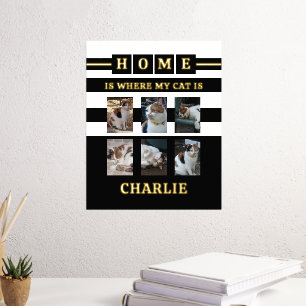 Impressions Dorure 6 photos nom chats amoureux des animaux noir blanc