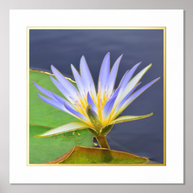 Impressions Dorure Accentuation de l'huile Jaune et Lavande Lily Impr (Recto)