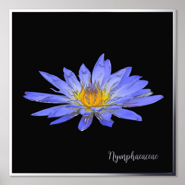 Impressions Dorure Argent Accent Blue Water Lily Imprimer l'affiche (Recto)