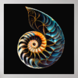 Impressions Dorure Dessin numérique de coque de Nautilus