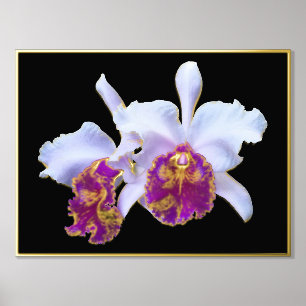 Impressions Dorure Paire d'accentuation à huile d'or Orchidées violet
