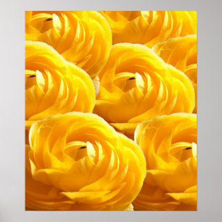Impressions florales I