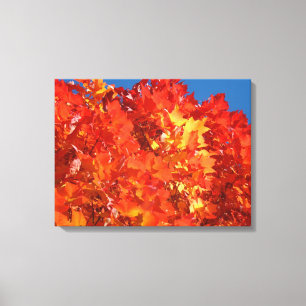 Impressions sur toile de feuilles d'arbre d'automn