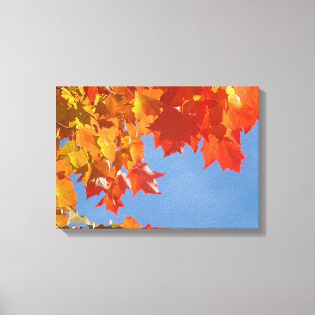 Impressions sur toile Feuilles d'automne orange (Recto)
