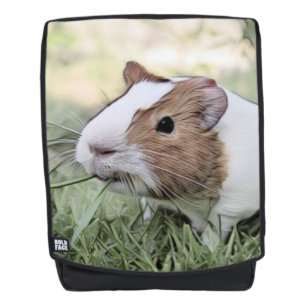 impressive animal -Guinea pig Backpack
