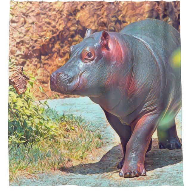 Impressive Animal - Hippo (Front)