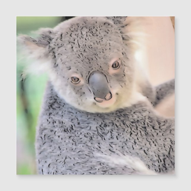 Impressive Animal - Koala (Front)