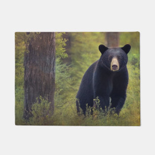 Impressive Black Bear Doormat