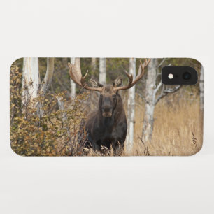 Impressive Bull Moose iPhone XR Case