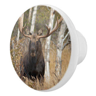 Impressive Bull Moose Ceramic Knob