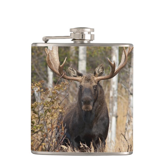 Impressive Bull Moose Hip Flask (Front)