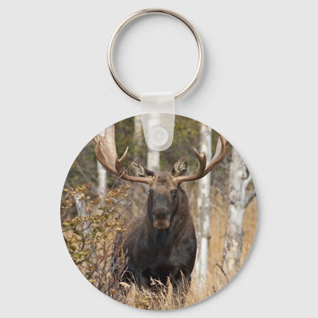 Impressive Bull Moose Keychain (Front)