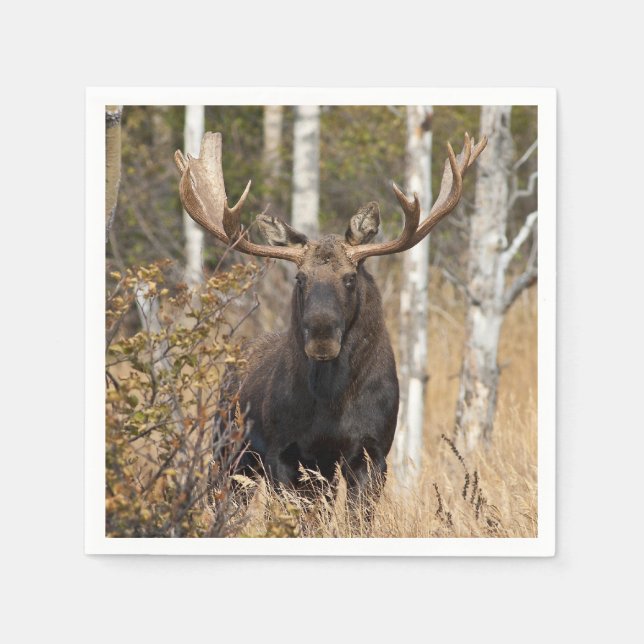 Impressive Bull Moose Napkin (Front)